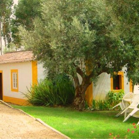 Vila Quinta Do Pinhal Constância Exteriér fotografie