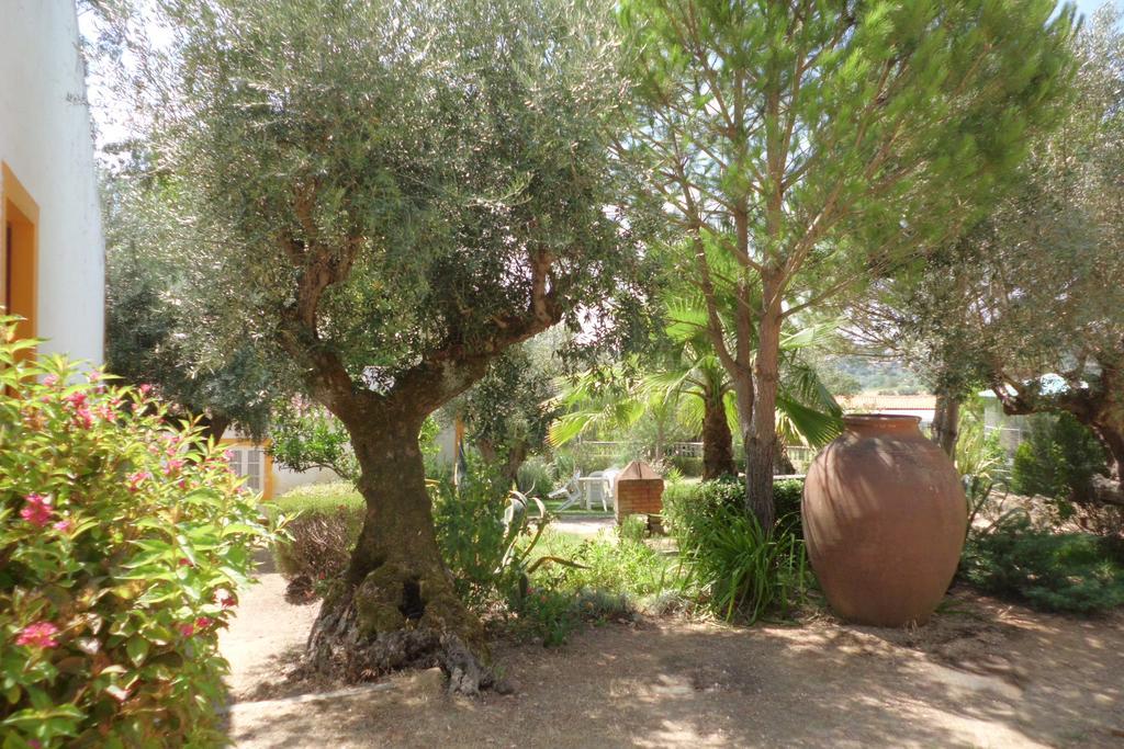 Vila Quinta Do Pinhal Constância Exteriér fotografie
